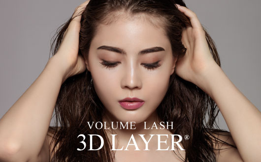 3Dレイヤー®プロコース