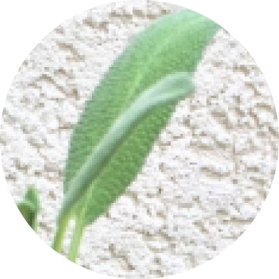 セージ葉エキス